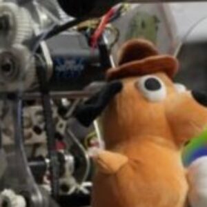 Profile photo of Eli